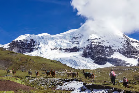 Cerro Laya Grande-Glacier de l'Inca