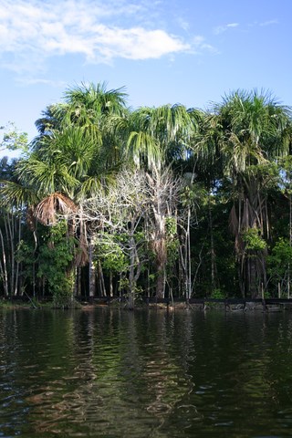 L'Amazonie péruvienne